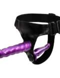 GS11-purple